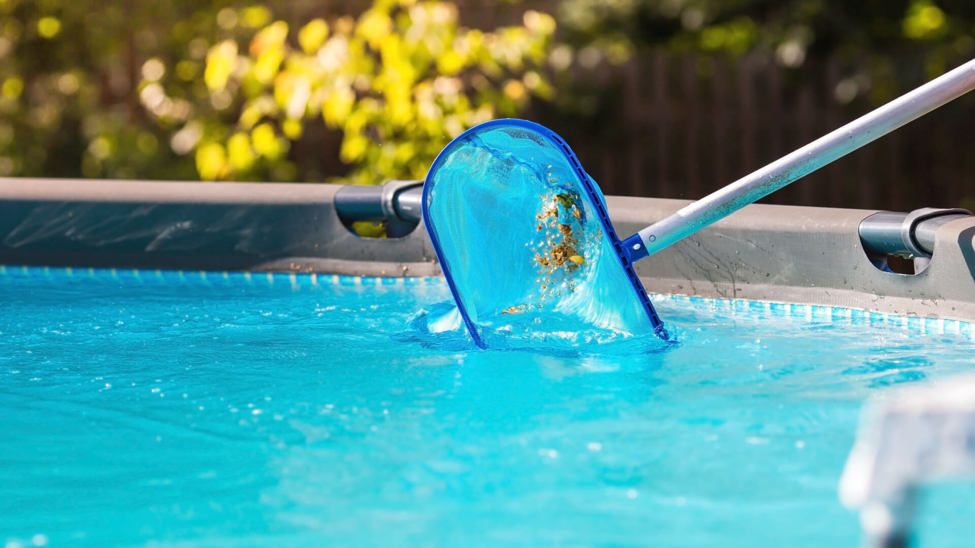 Pool skimmer removing leaves from clear blue water